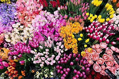 《地平线》多人游戏可能还会登陆手机和PC