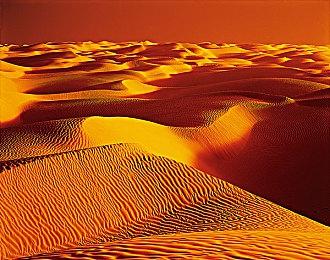 NVIDIA RTX 3090运行加载50个MOD的《巫师3》